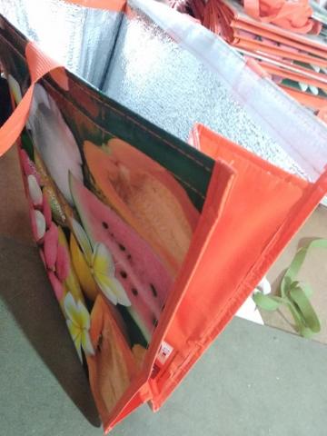 Non WovenPP Bags 01